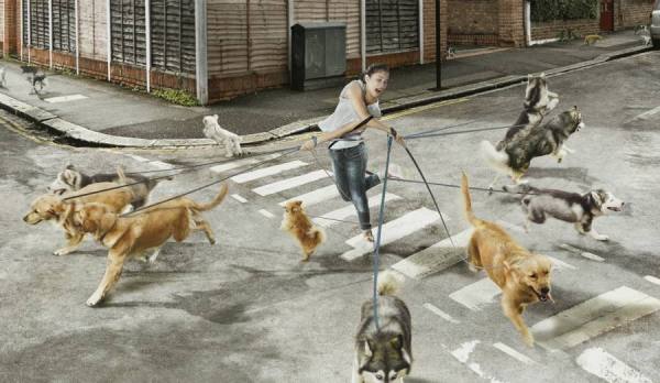 Photograph Clarissa And Peddy Dogs on One Eyeland